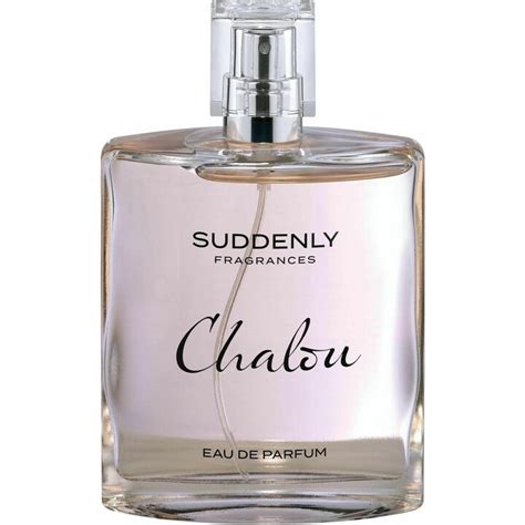 chanel lidl parfum|Lidl chalou perfume dupes.